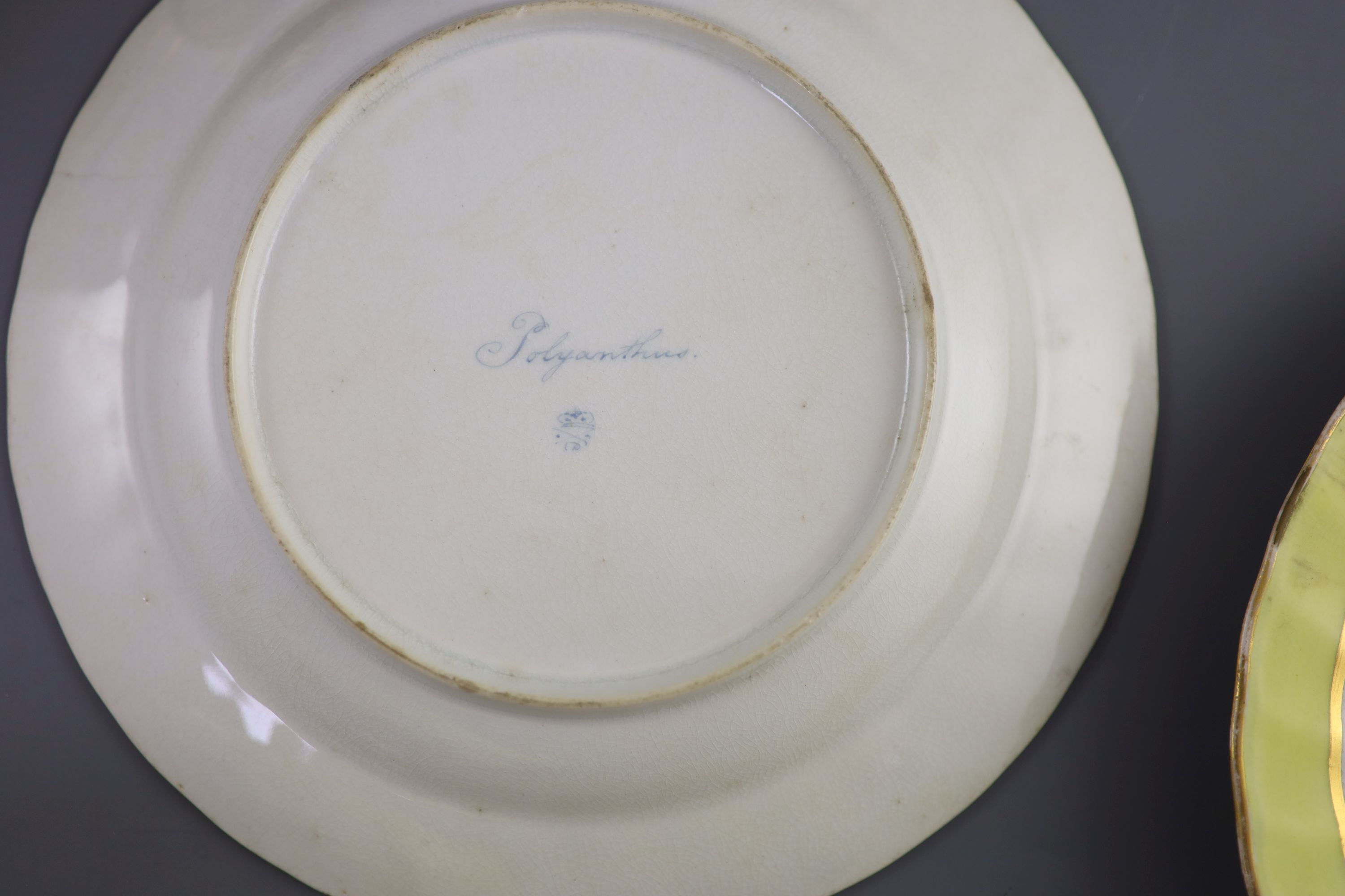 A group of Derby yellow ground botanical dessert and dinner wares, c.1790-1810